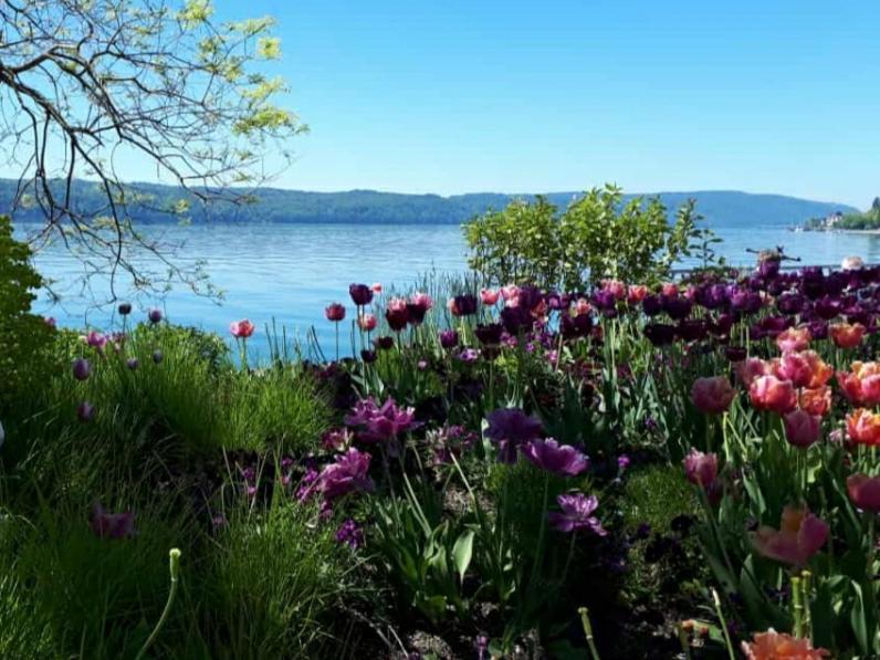 Lakeview Penthouse Meersburg Buitenkant foto