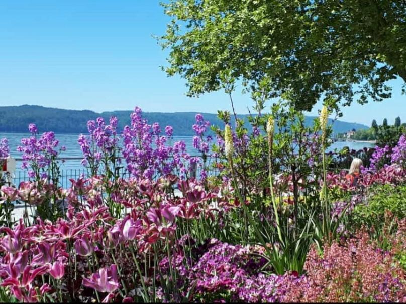 Lakeview Penthouse Meersburg Buitenkant foto